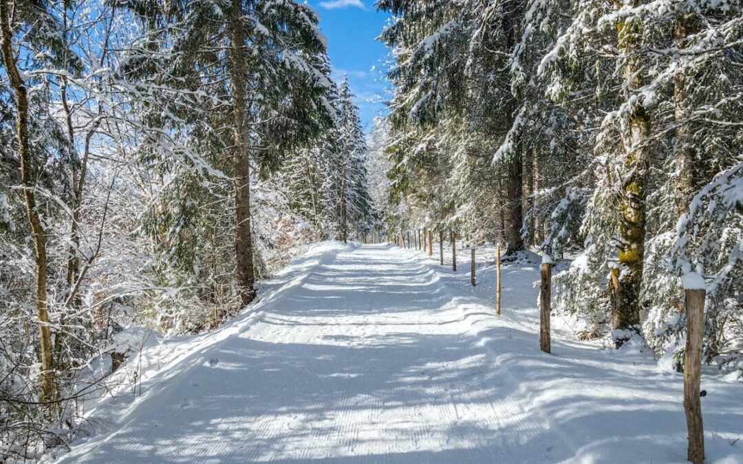 8 Essential Tips For Safe And Warm Winter Hiking