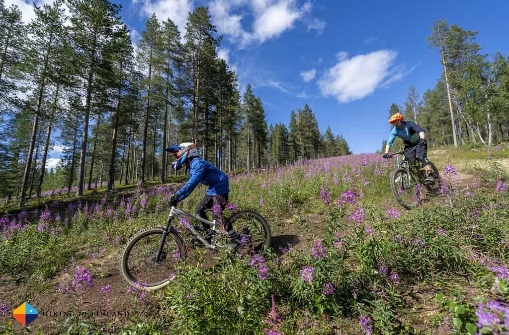 Summer in Lapland: Experience Mountain Biking & Hiking in Levitunturi