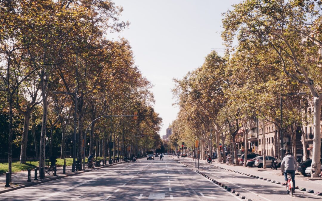 10 Reasons to Visit Barcelona in Autumn