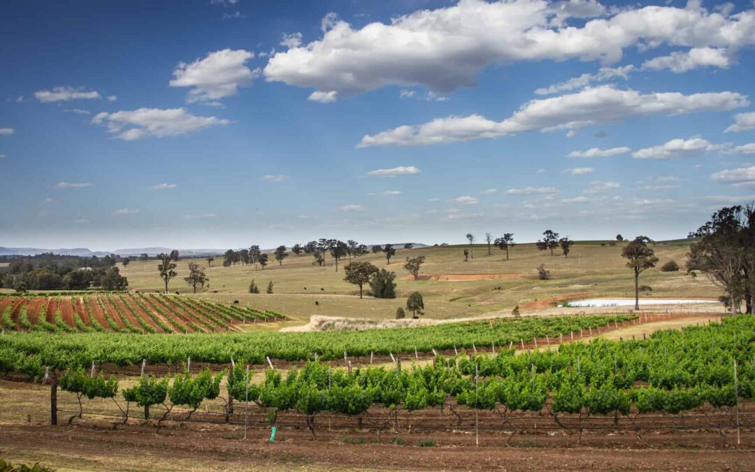 Down Under and Uncorked: Exploring Australian Wine and Travel Treasures