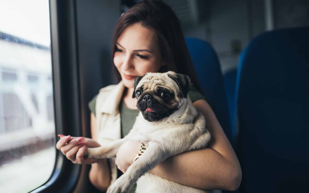 Travel Benefits of Having a Psychiatric Service Dog